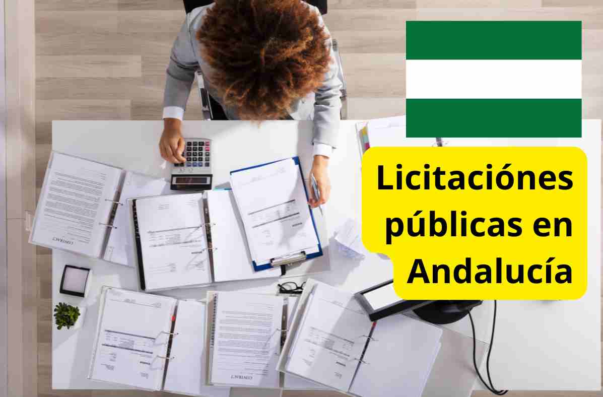 licitaciones-publicas-en-andalucía