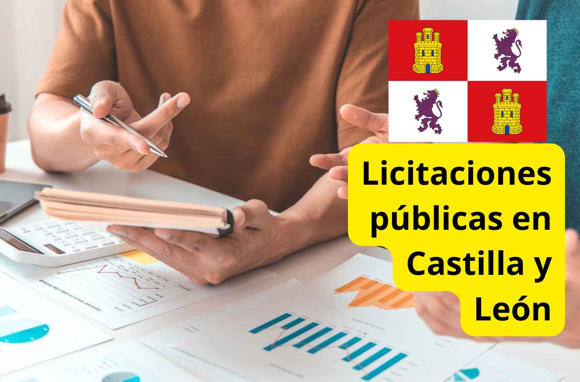 licitaciones-publicas-castilla-y-leon